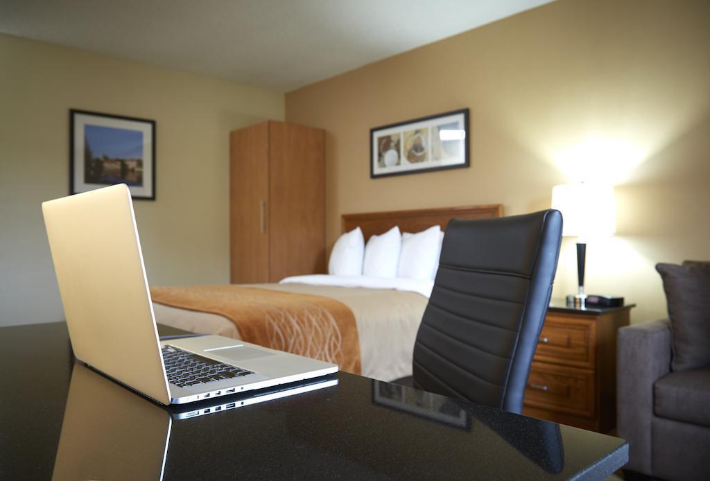 Comfort Inn Hamilton Kültér fotó